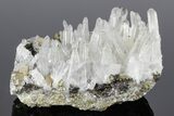Quartz and Pyrite Association - Pyrite Crystal Inclusions! #178365-1